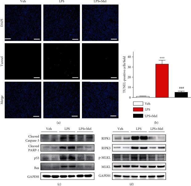 https://cdn.ncbi.nlm.nih.gov/pmc/blobs/9553/7803412/08b5d58a1467/OMCL2021-8843051.006.jpg