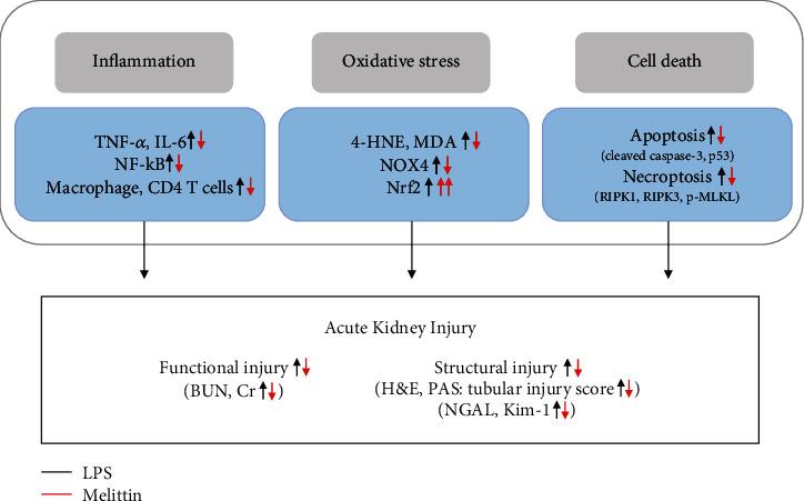 https://cdn.ncbi.nlm.nih.gov/pmc/blobs/9553/7803412/0fba4958f4b3/OMCL2021-8843051.008.jpg