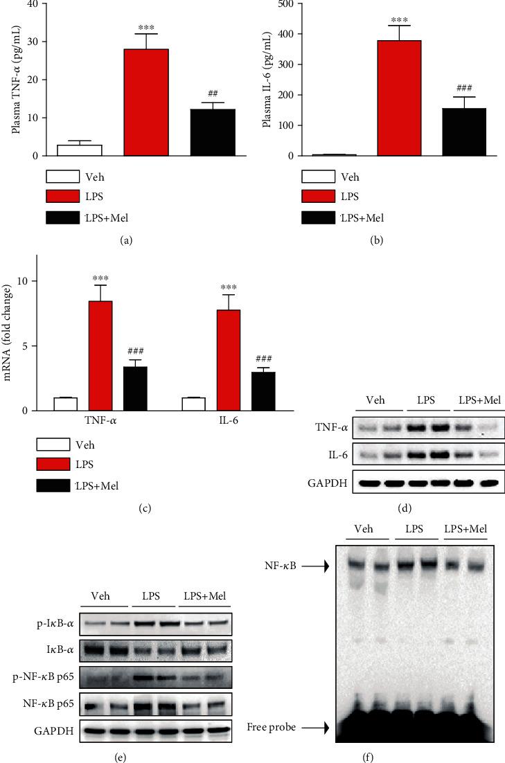 https://cdn.ncbi.nlm.nih.gov/pmc/blobs/9553/7803412/db49d45175bf/OMCL2021-8843051.003.jpg