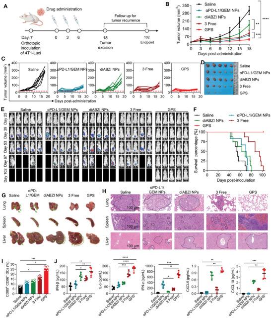 https://cdn.ncbi.nlm.nih.gov/pmc/blobs/9554/10214259/07cca5f09889/ADVS-10-2204890-g002.jpg