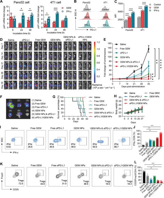 https://cdn.ncbi.nlm.nih.gov/pmc/blobs/9554/10214259/899fff918464/ADVS-10-2204890-g001.jpg