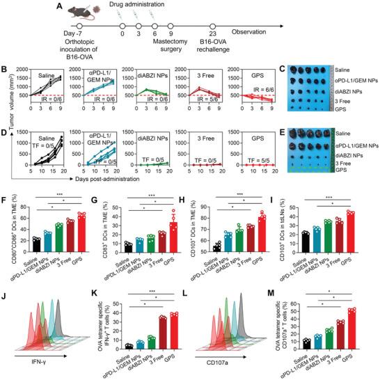 https://cdn.ncbi.nlm.nih.gov/pmc/blobs/9554/10214259/dba908661304/ADVS-10-2204890-g004.jpg