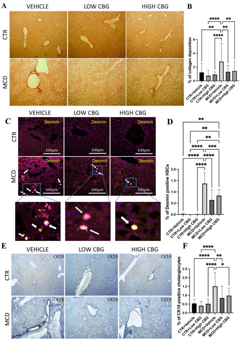 https://cdn.ncbi.nlm.nih.gov/pmc/blobs/9554/12073672/558405edd9ee/nutrients-17-01524-g002.jpg