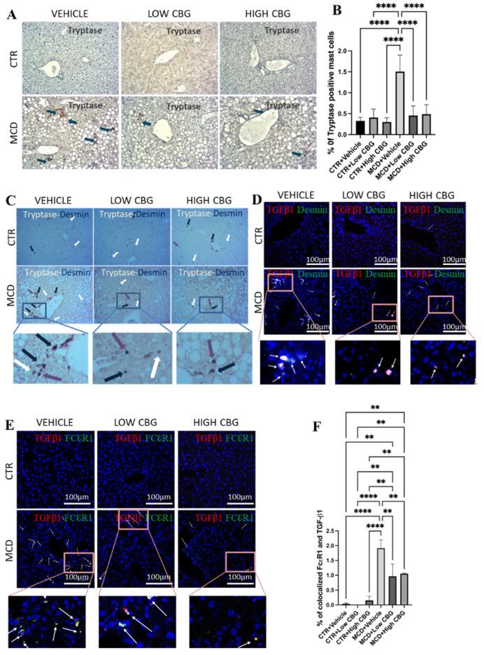 https://cdn.ncbi.nlm.nih.gov/pmc/blobs/9554/12073672/6146f1097a2d/nutrients-17-01524-g004.jpg