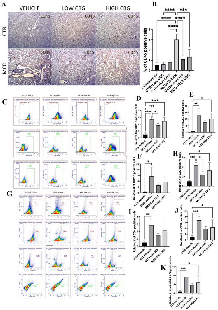 https://cdn.ncbi.nlm.nih.gov/pmc/blobs/9554/12073672/6297c62a4497/nutrients-17-01524-g003.jpg