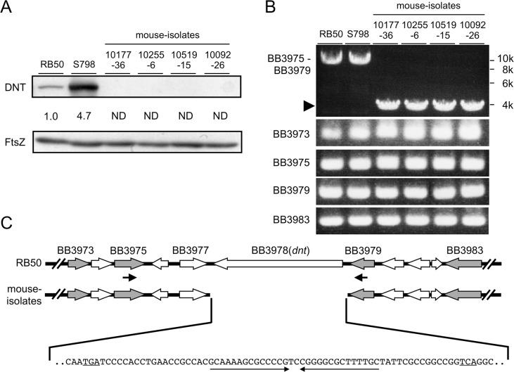 https://cdn.ncbi.nlm.nih.gov/pmc/blobs/9554/4314077/081859479101/pone.0116604.g003.jpg