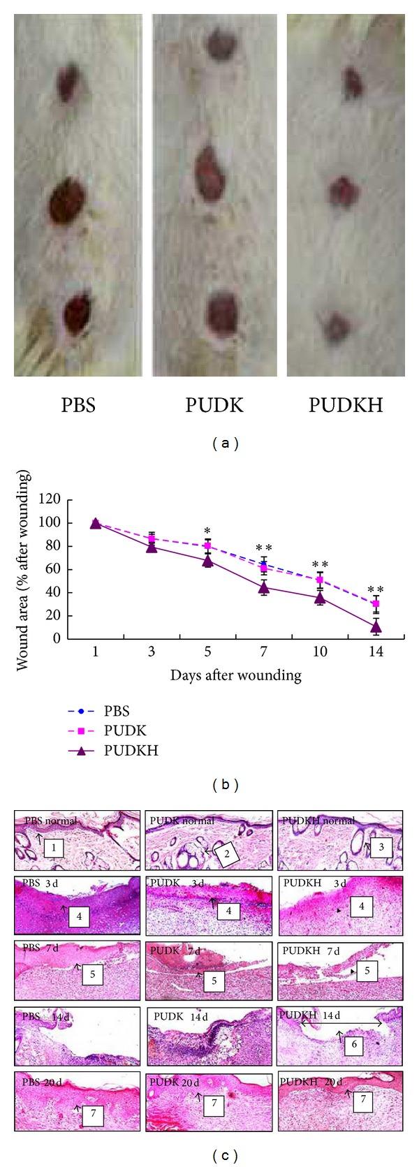 https://cdn.ncbi.nlm.nih.gov/pmc/blobs/9556/3899705/ec645433fa07/BMRI2013-470418.001.jpg