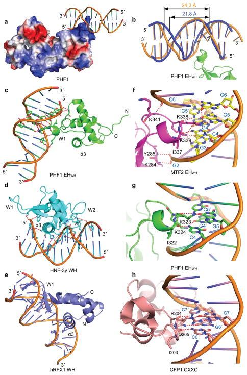 https://cdn.ncbi.nlm.nih.gov/pmc/blobs/9556/5937281/6f568cb216e4/nihms895540f7.jpg