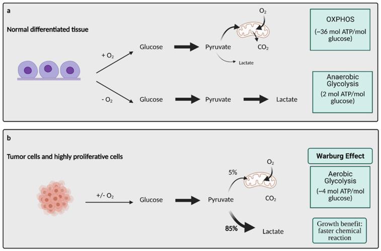 https://cdn.ncbi.nlm.nih.gov/pmc/blobs/9556/8146072/8f222a1279e9/cells-10-01056-g001.jpg