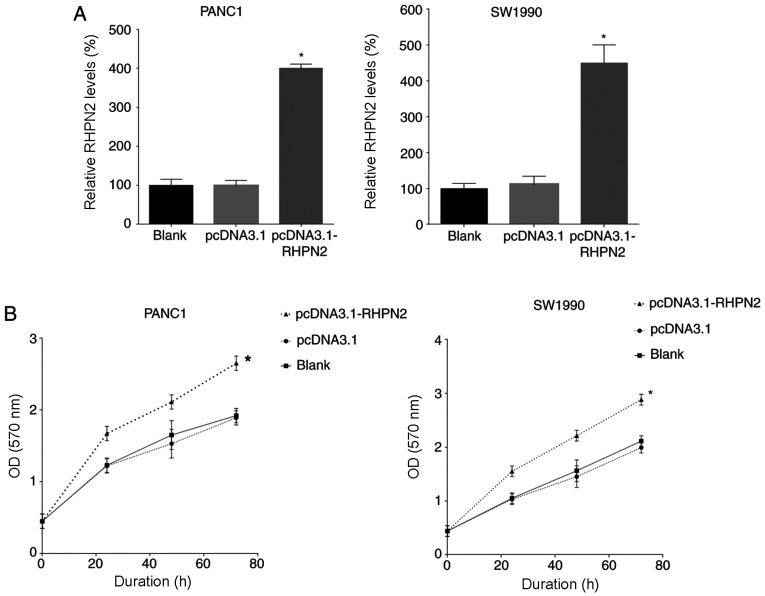 https://cdn.ncbi.nlm.nih.gov/pmc/blobs/9558/7716719/021326b94bf2/ol-21-01-12337-g03.jpg