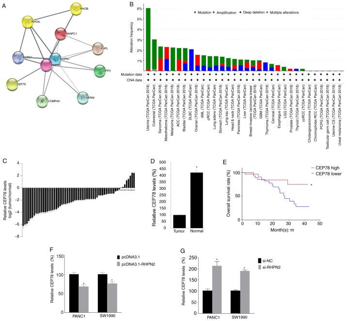 https://cdn.ncbi.nlm.nih.gov/pmc/blobs/9558/7716719/502ae7a54a74/ol-21-01-12337-g04.jpg