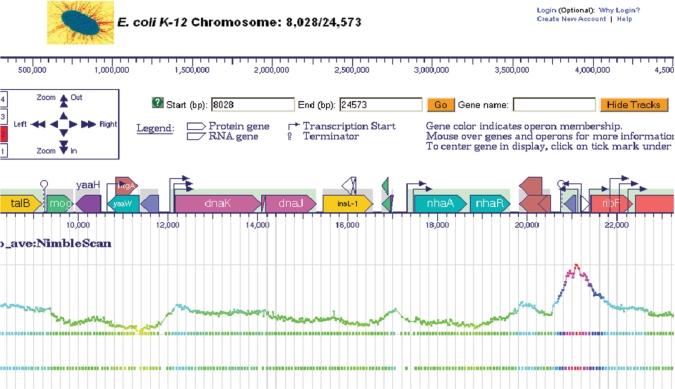 https://cdn.ncbi.nlm.nih.gov/pmc/blobs/9559/2686493/3a3a1bb777e3/gkn751f5.jpg