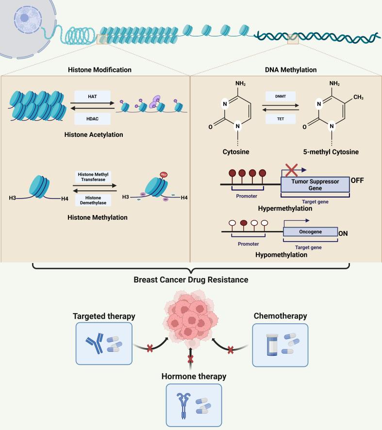 https://cdn.ncbi.nlm.nih.gov/pmc/blobs/955a/12366494/150953e13572/cdr-8-36.fig.1.jpg