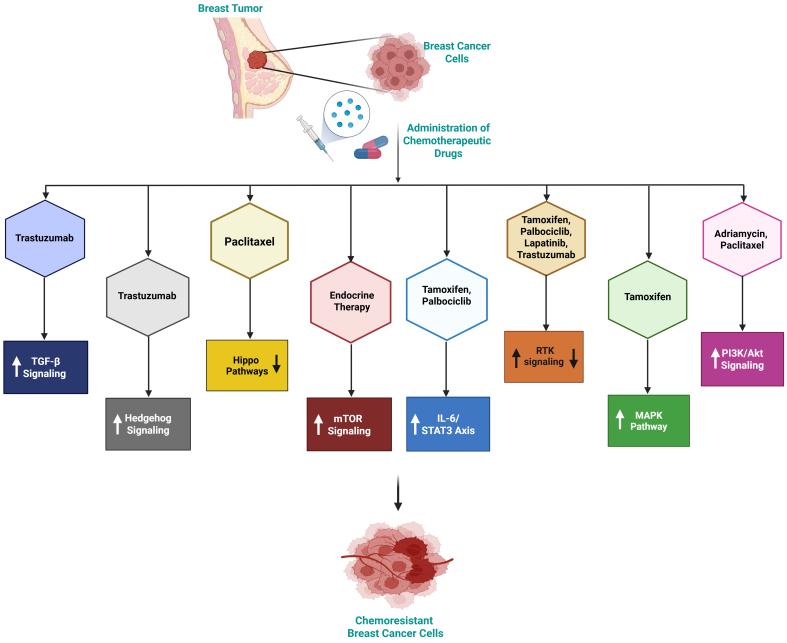 https://cdn.ncbi.nlm.nih.gov/pmc/blobs/955a/12366494/5c51d2b23c2c/cdr-8-36.fig.2.jpg