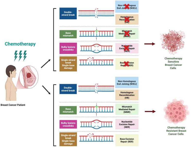 https://cdn.ncbi.nlm.nih.gov/pmc/blobs/955a/12366494/658fc5e34fee/cdr-8-36.fig.3.jpg