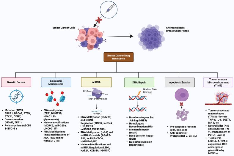 https://cdn.ncbi.nlm.nih.gov/pmc/blobs/955a/12366494/7d61e817769c/cdr-8-36.fig.4.jpg