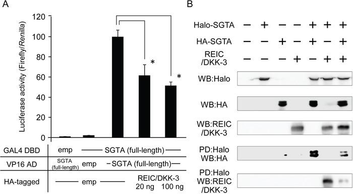 https://cdn.ncbi.nlm.nih.gov/pmc/blobs/955b/4823106/76d645e49bb3/oncotarget-07-3283-g003.jpg