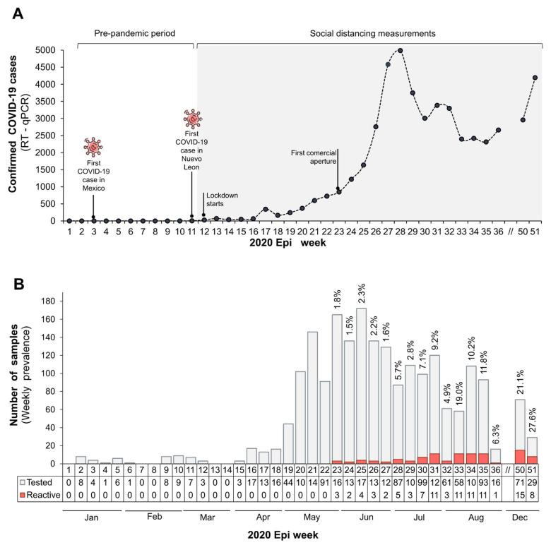 https://cdn.ncbi.nlm.nih.gov/pmc/blobs/955b/8310175/22060ab99326/viruses-13-01225-g001.jpg