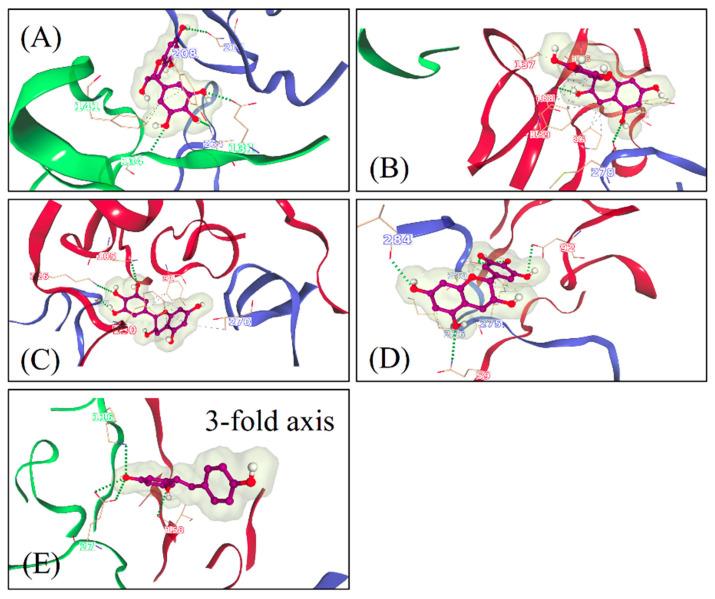 https://cdn.ncbi.nlm.nih.gov/pmc/blobs/9562/8398301/009dba505f43/pharmaceutics-13-01182-g008.jpg