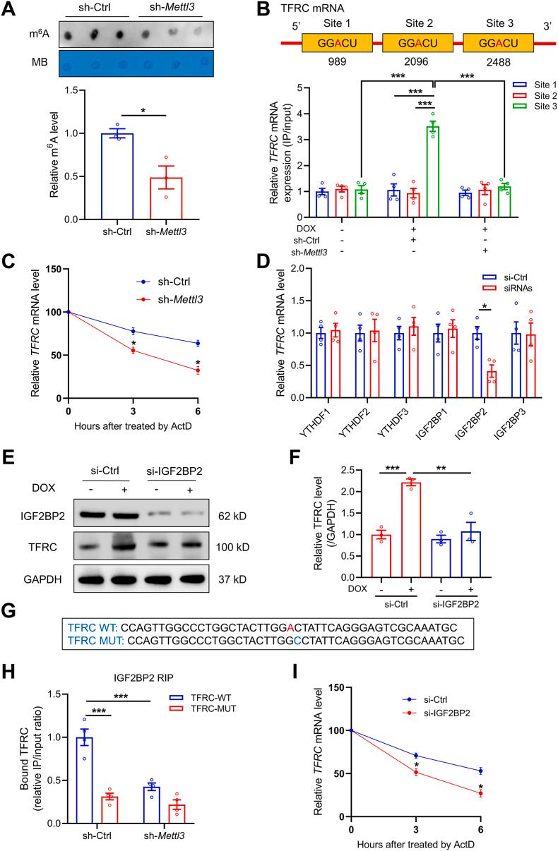 https://cdn.ncbi.nlm.nih.gov/pmc/blobs/9563/11033199/0b636b061b3d/gr7.jpg