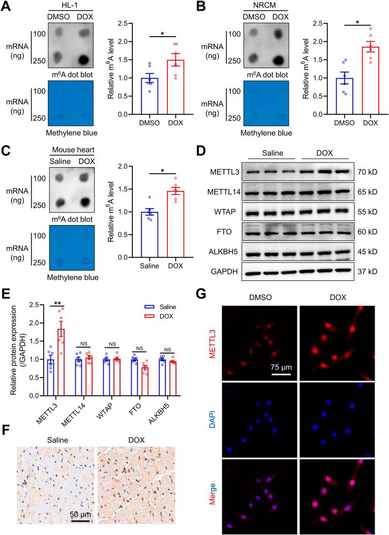 https://cdn.ncbi.nlm.nih.gov/pmc/blobs/9563/11033199/4e54662c540c/gr1.jpg