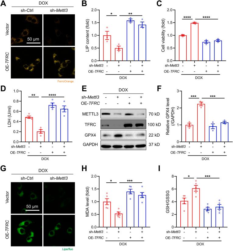 https://cdn.ncbi.nlm.nih.gov/pmc/blobs/9563/11033199/68816a0f598d/gr6.jpg
