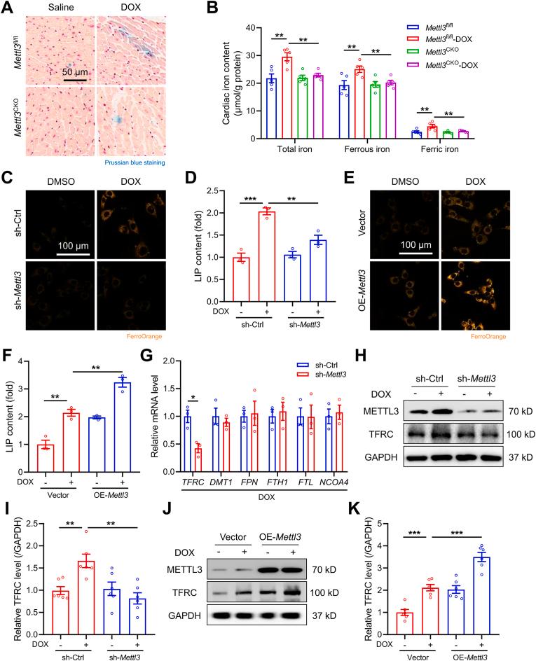 https://cdn.ncbi.nlm.nih.gov/pmc/blobs/9563/11033199/d75ad81bf1ce/gr5.jpg