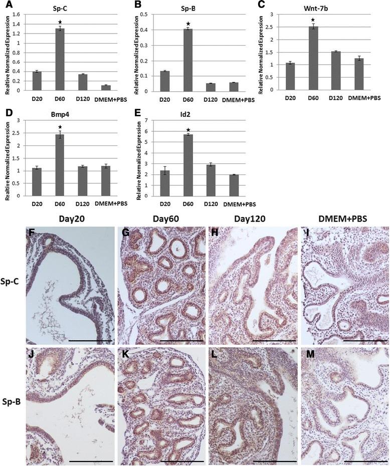 https://cdn.ncbi.nlm.nih.gov/pmc/blobs/9565/4377010/c09239194631/12861_2015_63_Fig4_HTML.jpg