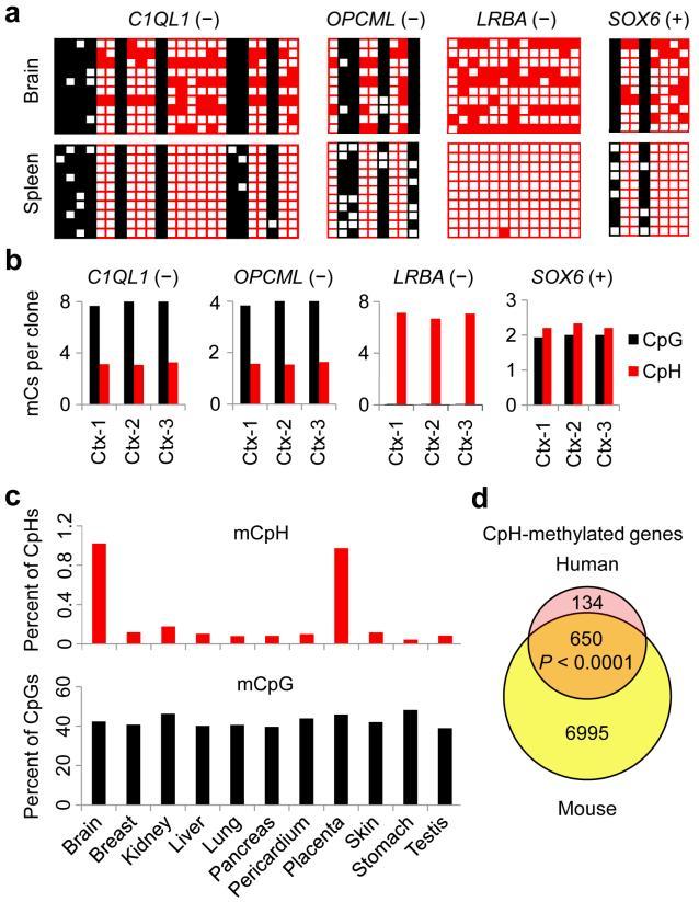 https://cdn.ncbi.nlm.nih.gov/pmc/blobs/9566/3970219/c46b5f82c114/nihms-560025-f0002.jpg