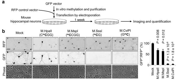 https://cdn.ncbi.nlm.nih.gov/pmc/blobs/9566/3970219/eb50a2f4961d/nihms-560025-f0005.jpg