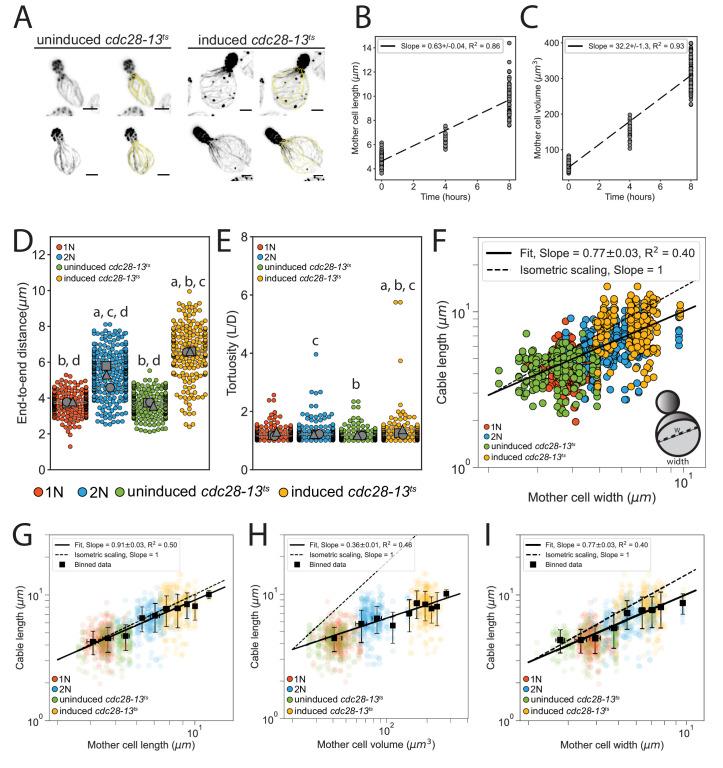 https://cdn.ncbi.nlm.nih.gov/pmc/blobs/9566/8233038/04593a9faeb8/elife-68424-fig1-figsupp1.jpg