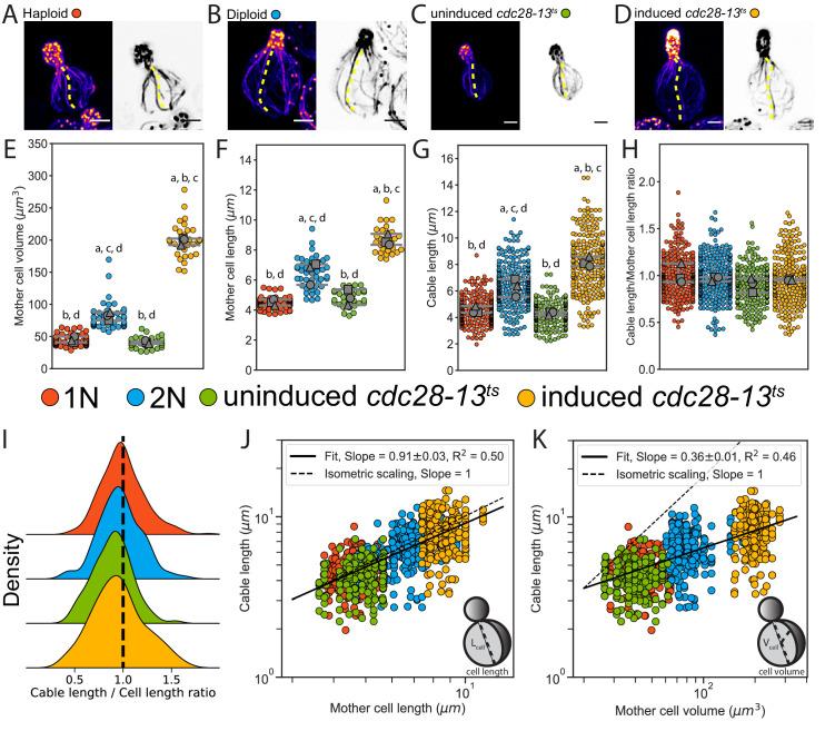 https://cdn.ncbi.nlm.nih.gov/pmc/blobs/9566/8233038/78a60b16e488/elife-68424-fig1.jpg