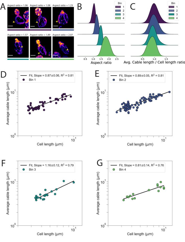 https://cdn.ncbi.nlm.nih.gov/pmc/blobs/9566/8233038/ffb937cd8ac5/elife-68424-fig1-figsupp2.jpg