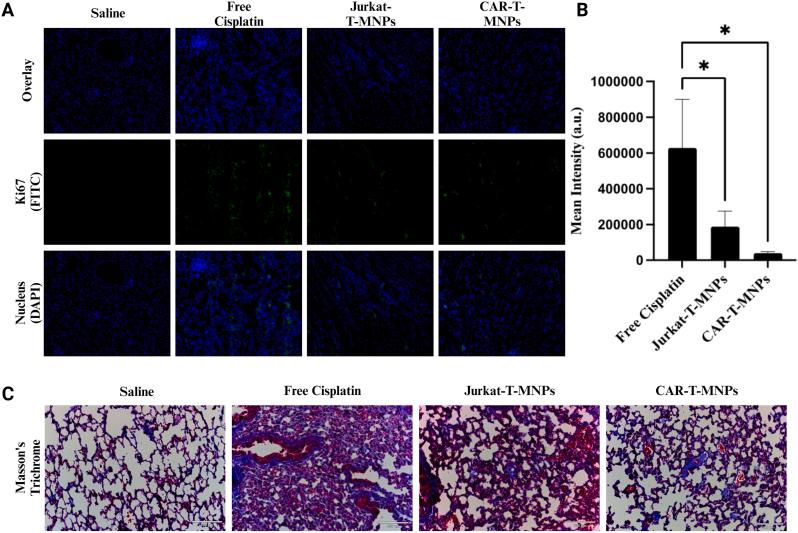 https://cdn.ncbi.nlm.nih.gov/pmc/blobs/9568/10821609/1323388d1377/gr9.jpg
