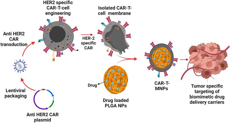 https://cdn.ncbi.nlm.nih.gov/pmc/blobs/9568/10821609/479c402686b2/gr1.jpg