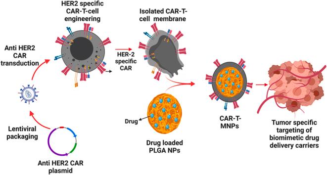https://cdn.ncbi.nlm.nih.gov/pmc/blobs/9568/10821609/7e1b8d20c71e/ga1.jpg