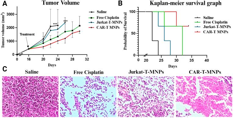 https://cdn.ncbi.nlm.nih.gov/pmc/blobs/9568/10821609/abf17515669a/gr8.jpg