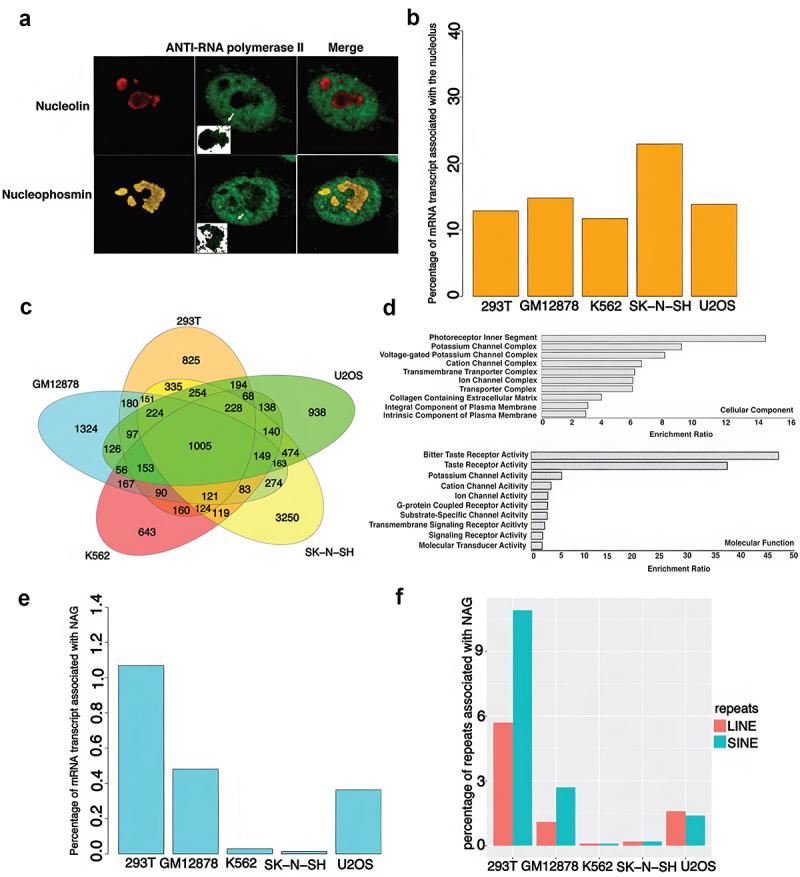 https://cdn.ncbi.nlm.nih.gov/pmc/blobs/956a/11849958/8ce605778ba3/KNCL_A_2468597_F0008_OC.jpg