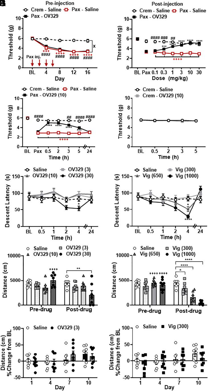 https://cdn.ncbi.nlm.nih.gov/pmc/blobs/956b/11725897/48e08abbb9e9/pnas.2318833121fig01.jpg
