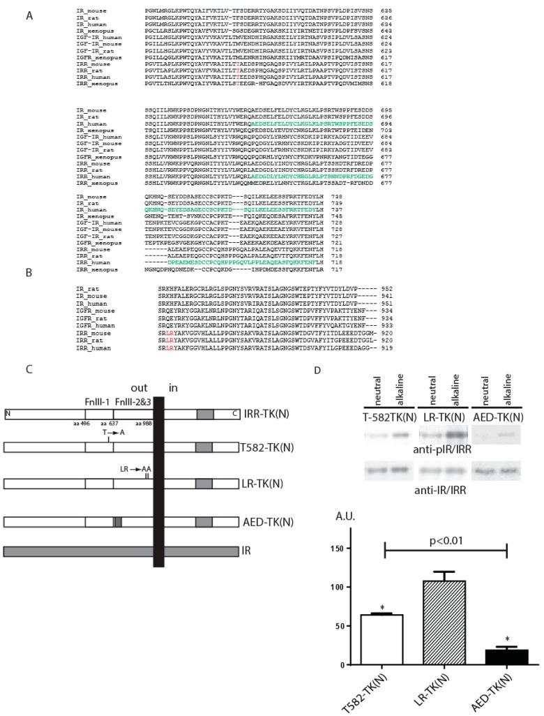 https://cdn.ncbi.nlm.nih.gov/pmc/blobs/956b/5713427/08a416a706d5/ijms-18-02461-g001.jpg