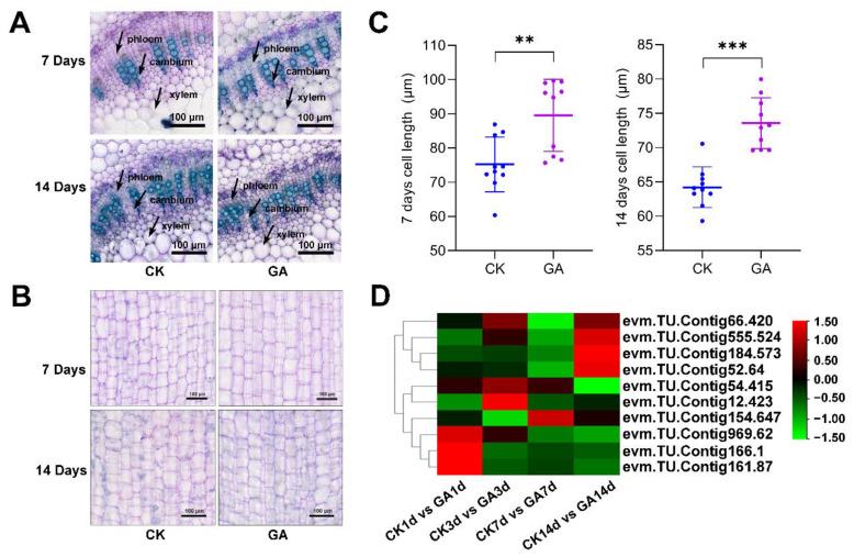 https://cdn.ncbi.nlm.nih.gov/pmc/blobs/956b/9569647/5b07f10ed963/ijms-23-11842-g003.jpg