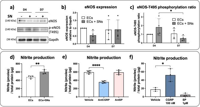 https://cdn.ncbi.nlm.nih.gov/pmc/blobs/956d/11389267/1831530e9b92/40659_2024_538_Fig3_HTML.jpg