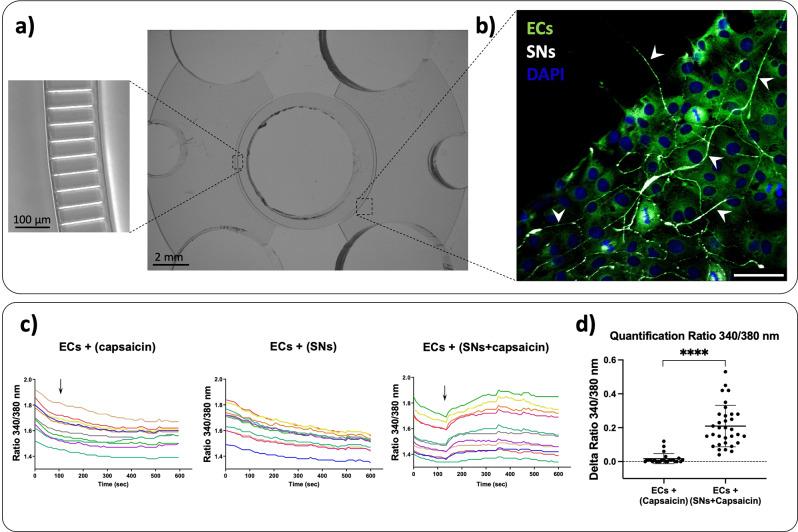 https://cdn.ncbi.nlm.nih.gov/pmc/blobs/956d/11389267/87bc32f14ae8/40659_2024_538_Fig1_HTML.jpg