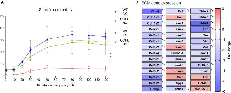 https://cdn.ncbi.nlm.nih.gov/pmc/blobs/956e/7658396/4c43cdb731c5/fphys-11-600290-g002.jpg