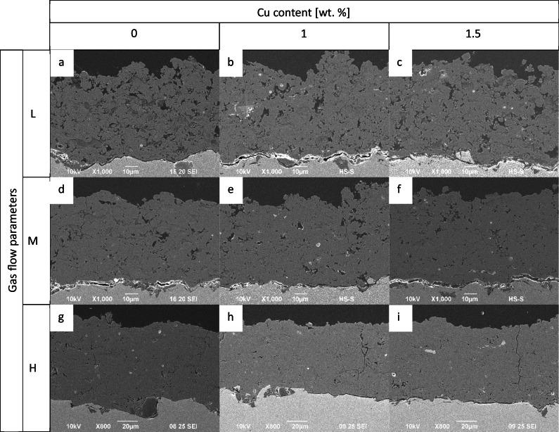 https://cdn.ncbi.nlm.nih.gov/pmc/blobs/956f/11608161/2da79a18c67b/10856_2024_6846_Fig6_HTML.jpg