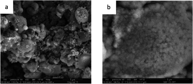 https://cdn.ncbi.nlm.nih.gov/pmc/blobs/956f/11608161/a45a297c1548/10856_2024_6846_Fig15_HTML.jpg