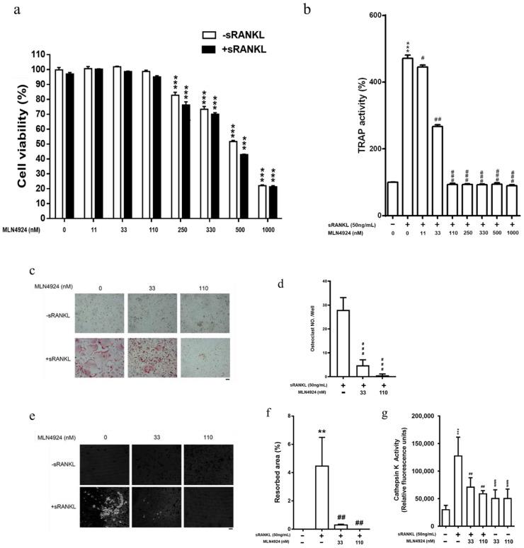 https://cdn.ncbi.nlm.nih.gov/pmc/blobs/956f/9598818/59ba2bd54acf/biomedicines-10-02355-g002.jpg