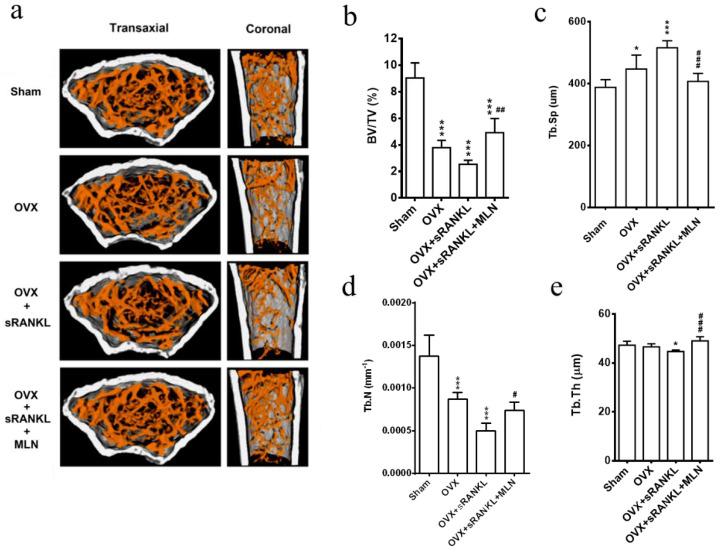 https://cdn.ncbi.nlm.nih.gov/pmc/blobs/956f/9598818/faac8bf87a19/biomedicines-10-02355-g006.jpg