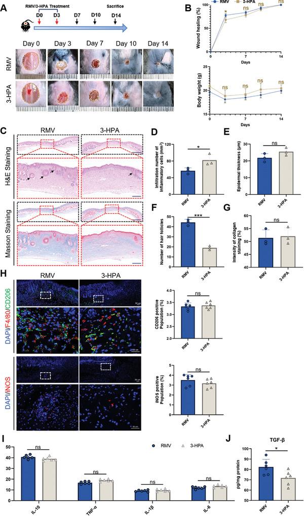 https://cdn.ncbi.nlm.nih.gov/pmc/blobs/9570/11199966/b3dfb624a178/ADVS-11-2309725-g004.jpg