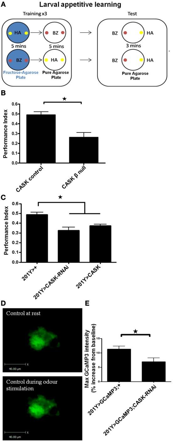 https://cdn.ncbi.nlm.nih.gov/pmc/blobs/9570/3769642/2a47e78598c2/fnmol-06-00027-g0006.jpg
